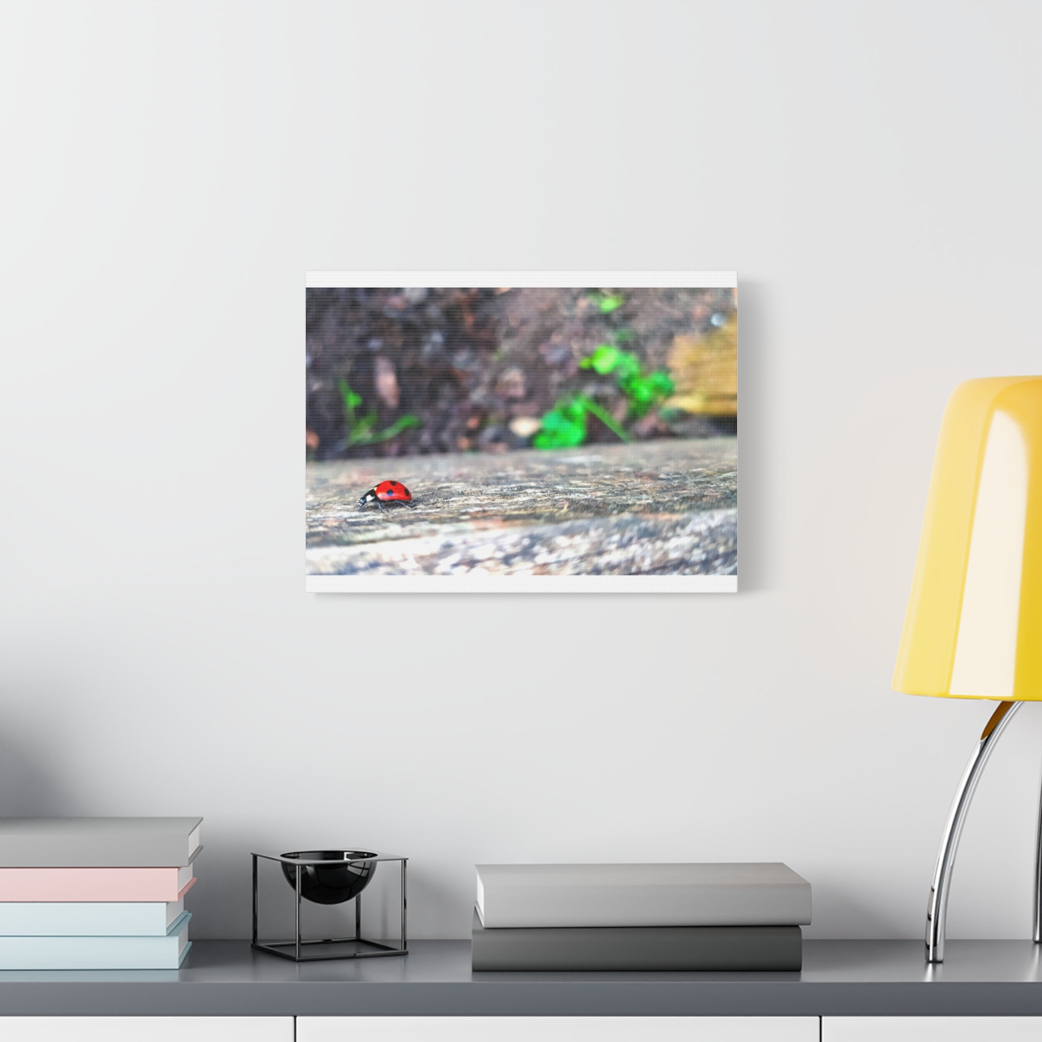 Ladybug on Weathered Wood Canvas Wall Art — Nature Macro Photography Print