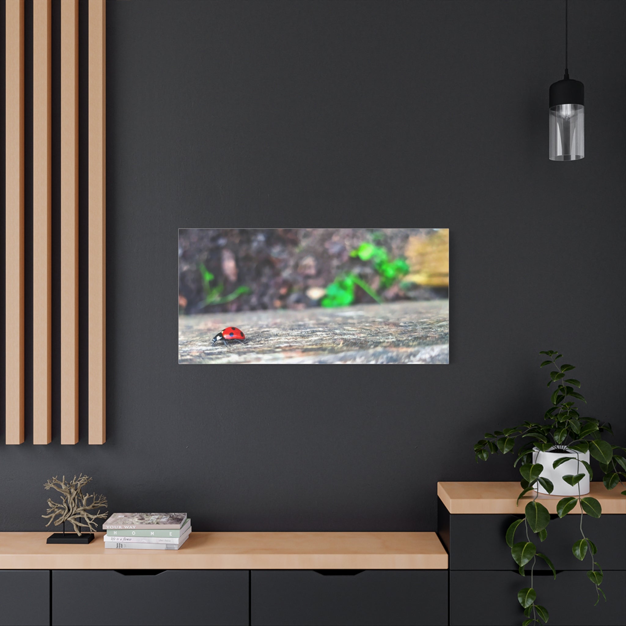 Ladybug on Weathered Wood Canvas Wall Art — Nature Macro Photography Print