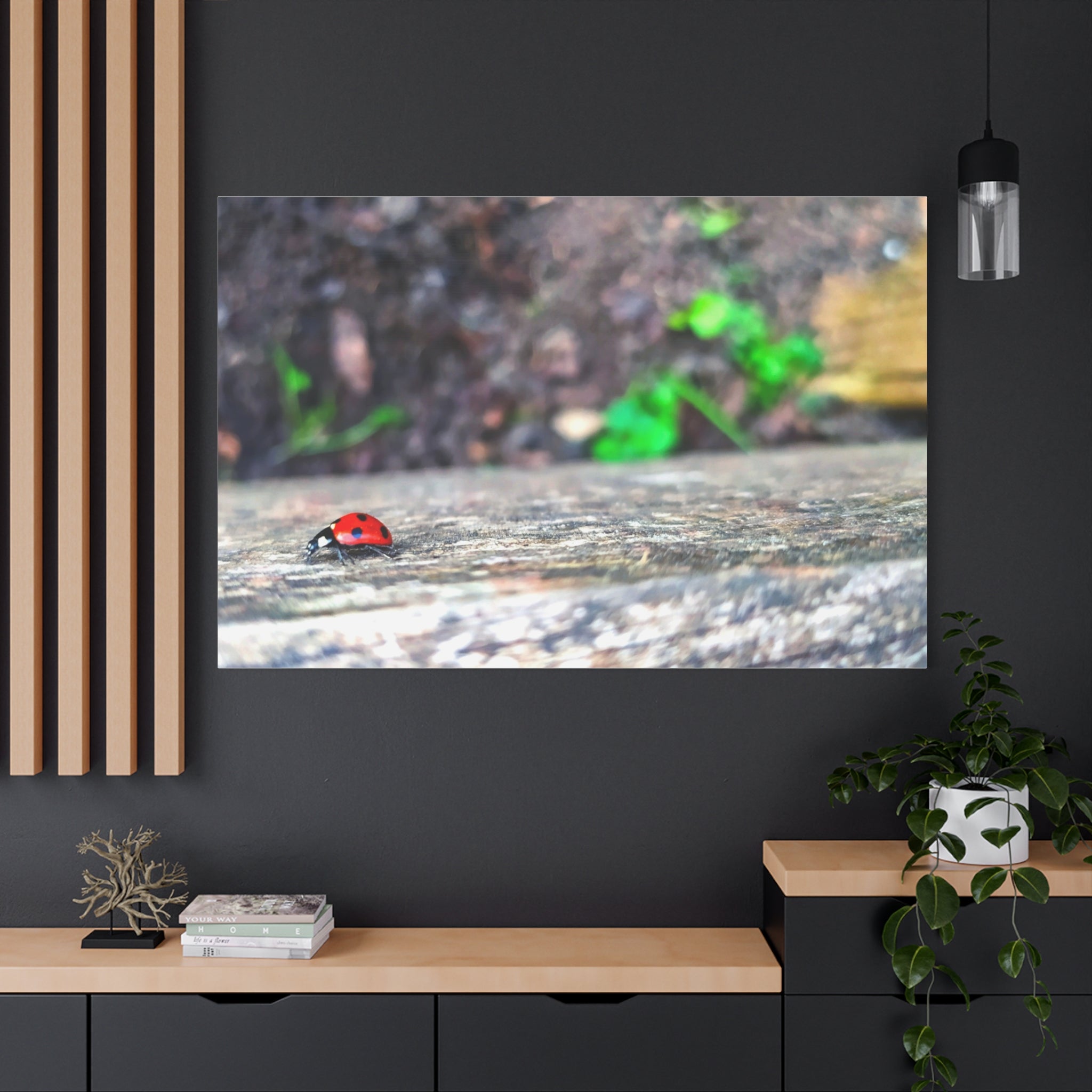 Ladybug on Weathered Wood Canvas Wall Art — Nature Macro Photography Print