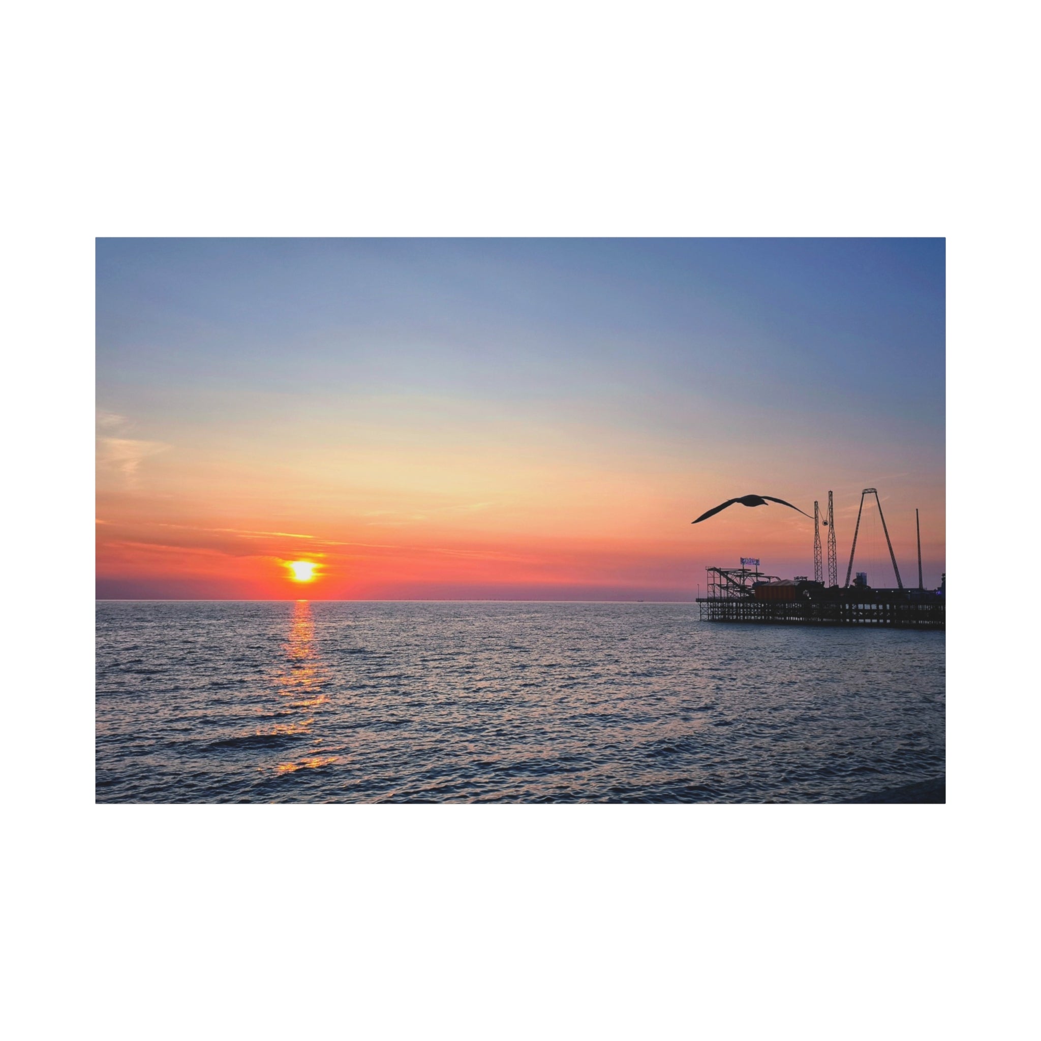 Sunset Seagull Canvas