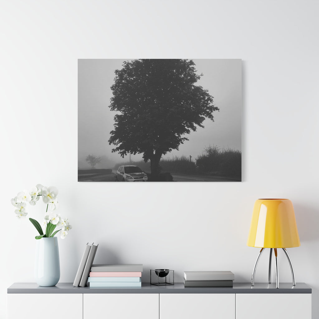 Black & White Foggy Tree Canvas Print — Moody Monochrome Wall Art