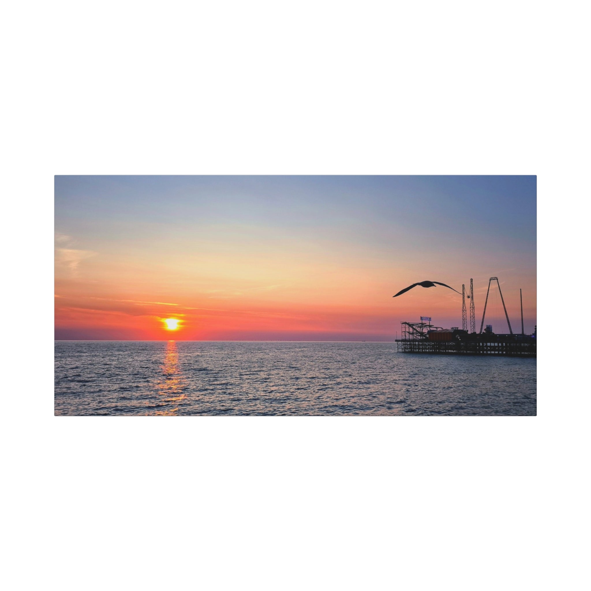 Sunset Seagull Canvas