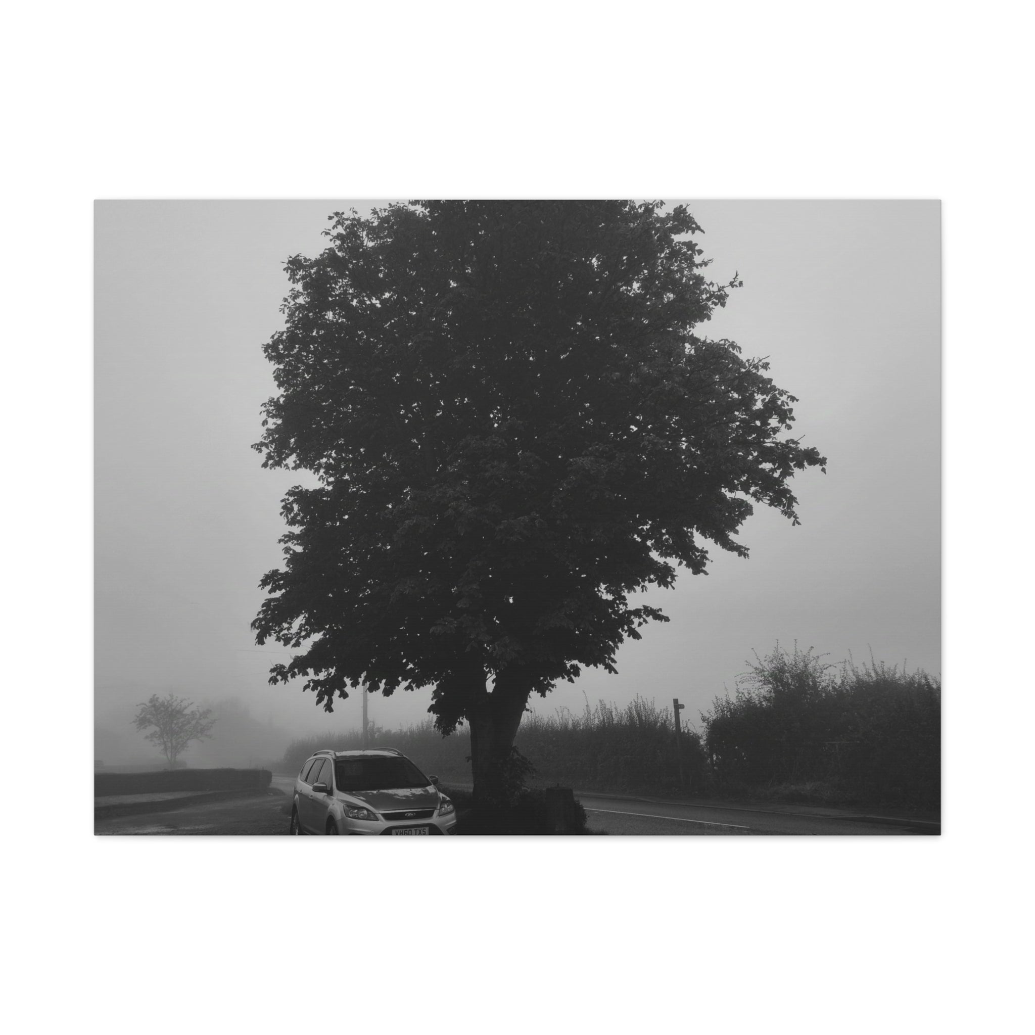 Black & White Foggy Tree Canvas Print — Moody Monochrome Wall Art