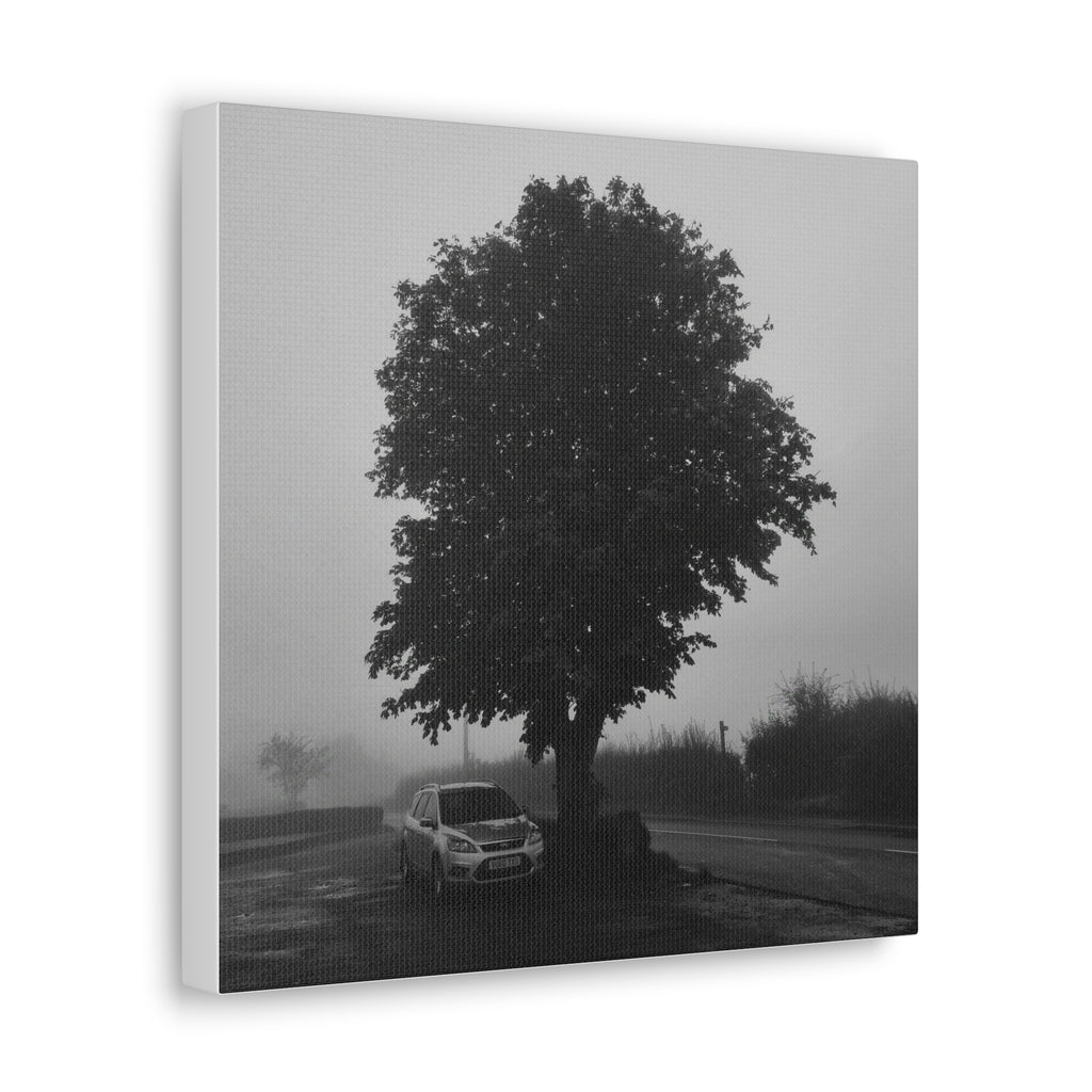 Black & White Foggy Tree Canvas Print — Moody Monochrome Wall Art