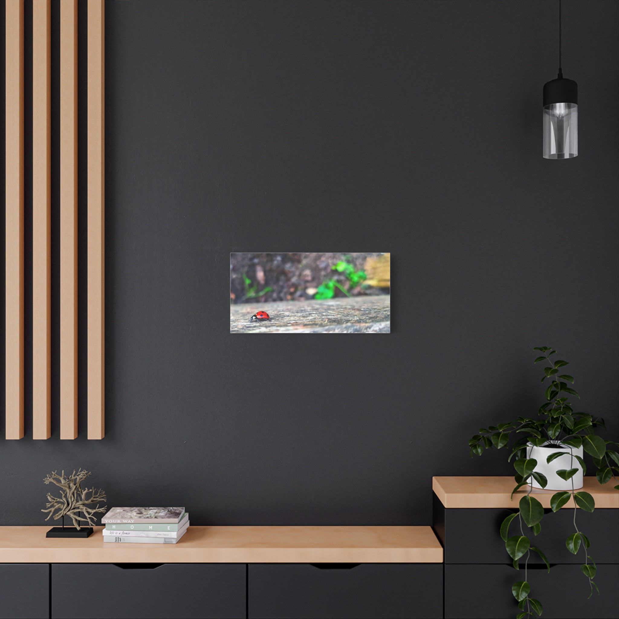 Ladybug on Weathered Wood Canvas Wall Art — Nature Macro Photography Print