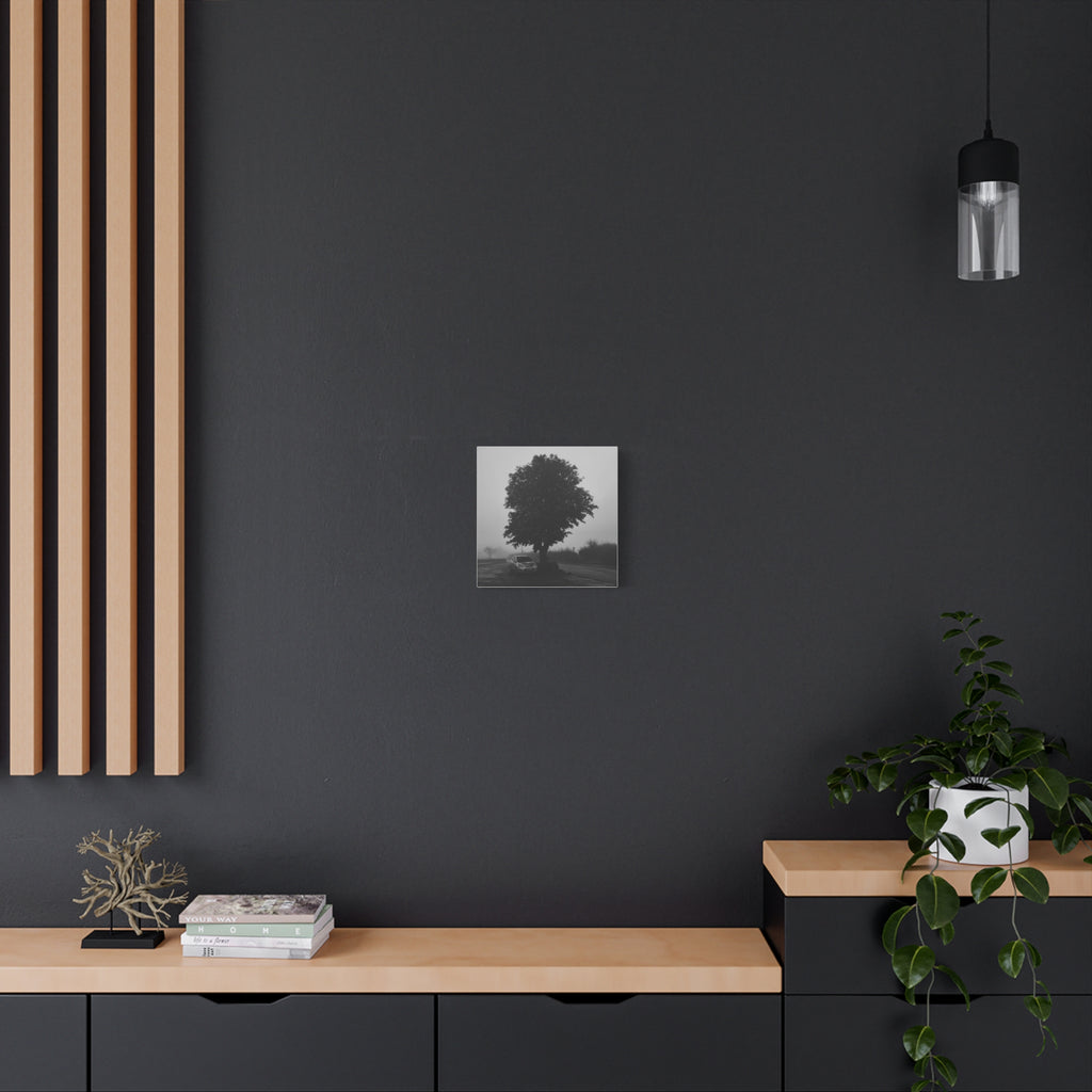 Black & White Foggy Tree Canvas Print — Moody Monochrome Wall Art