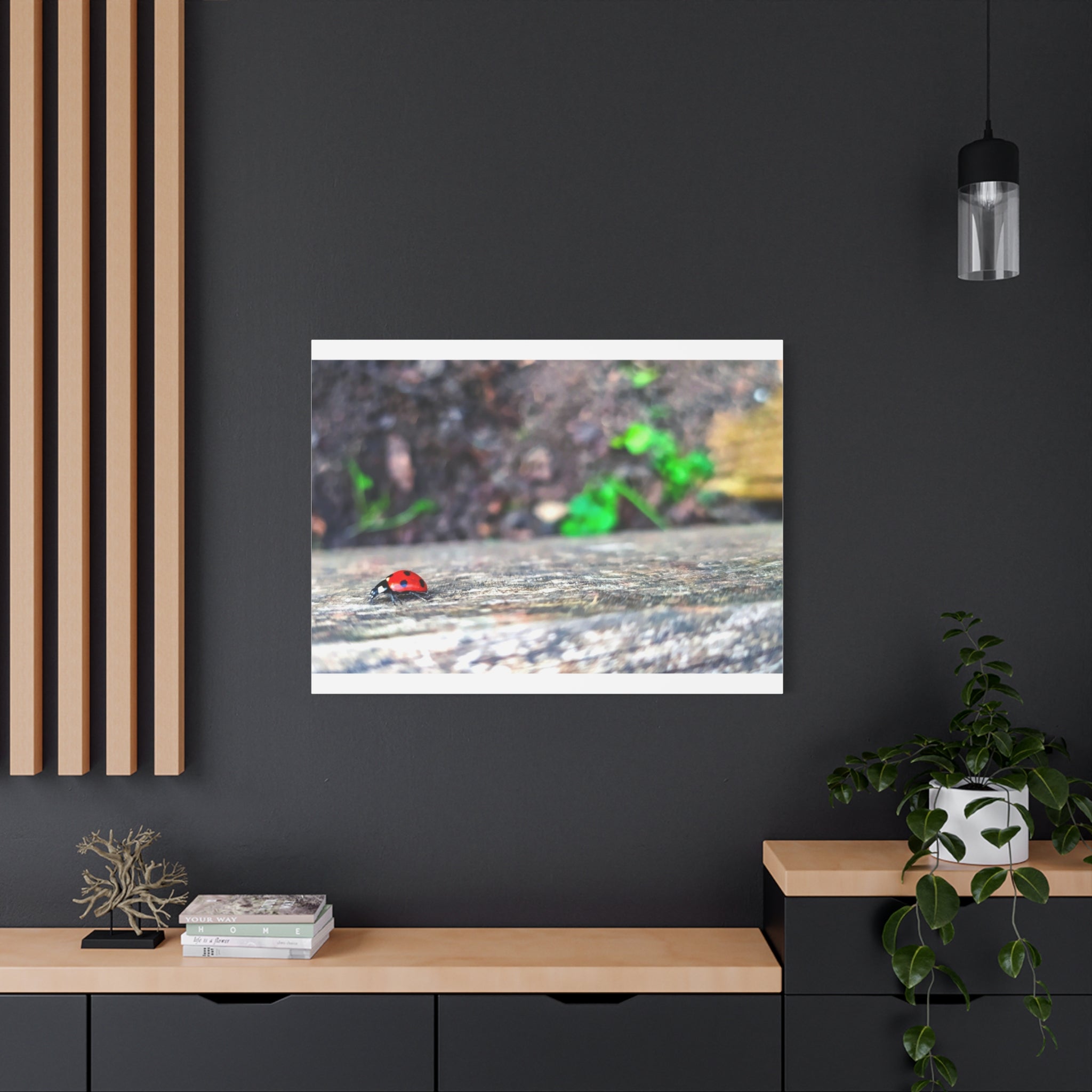 Ladybug on Weathered Wood Canvas Wall Art — Nature Macro Photography Print