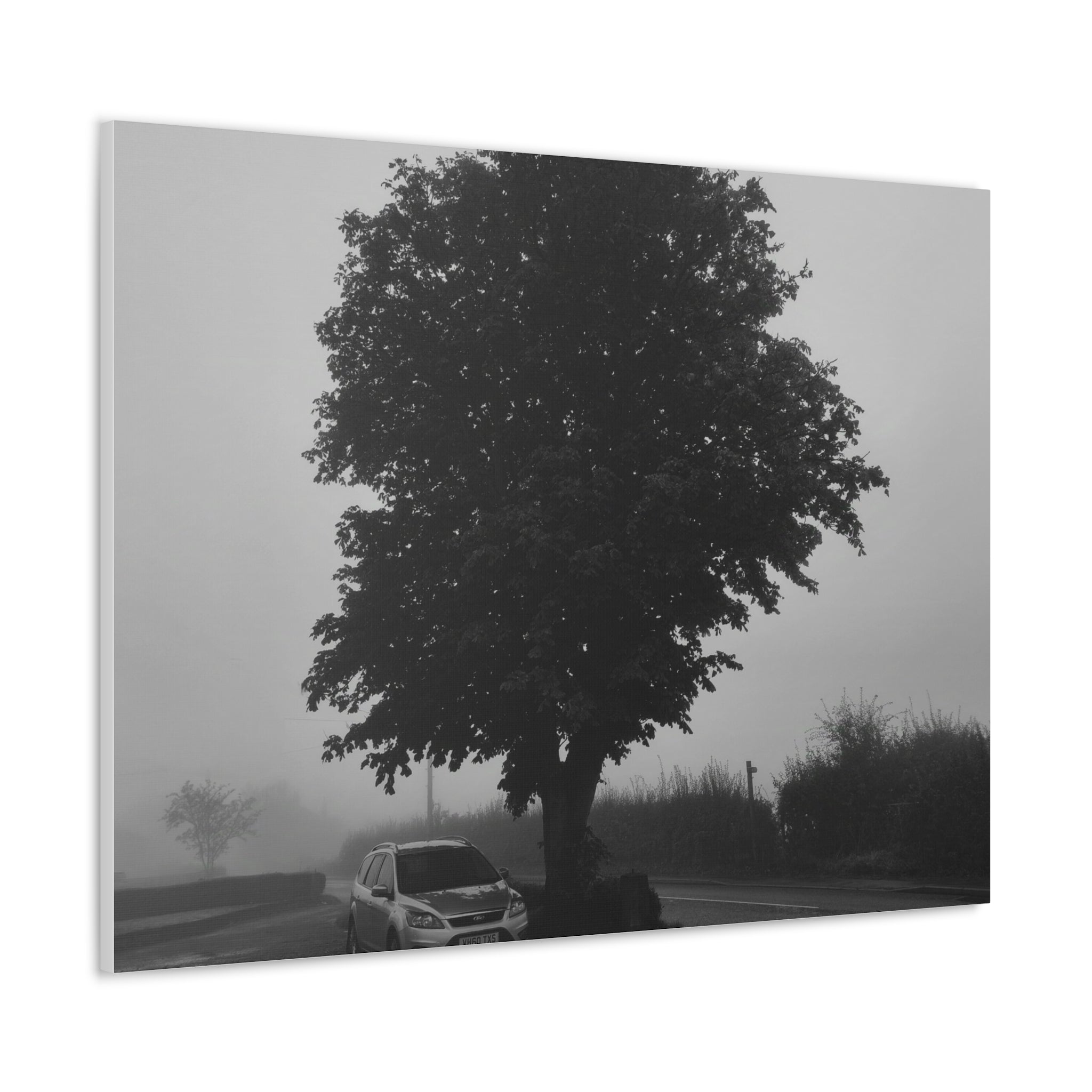 Black & White Foggy Tree Canvas Print — Moody Monochrome Wall Art