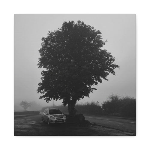 Black & White Foggy Tree Canvas Print — Moody Monochrome Wall Art