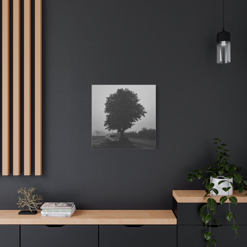 Black & White Foggy Tree Canvas Print — Moody Monochrome Wall Art