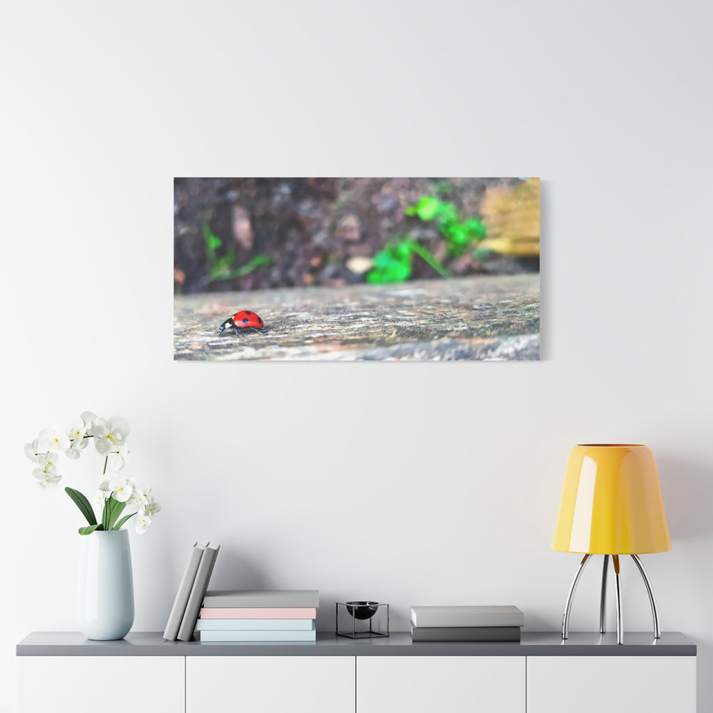 Ladybug on Weathered Wood Canvas Wall Art — Nature Macro Photography Print