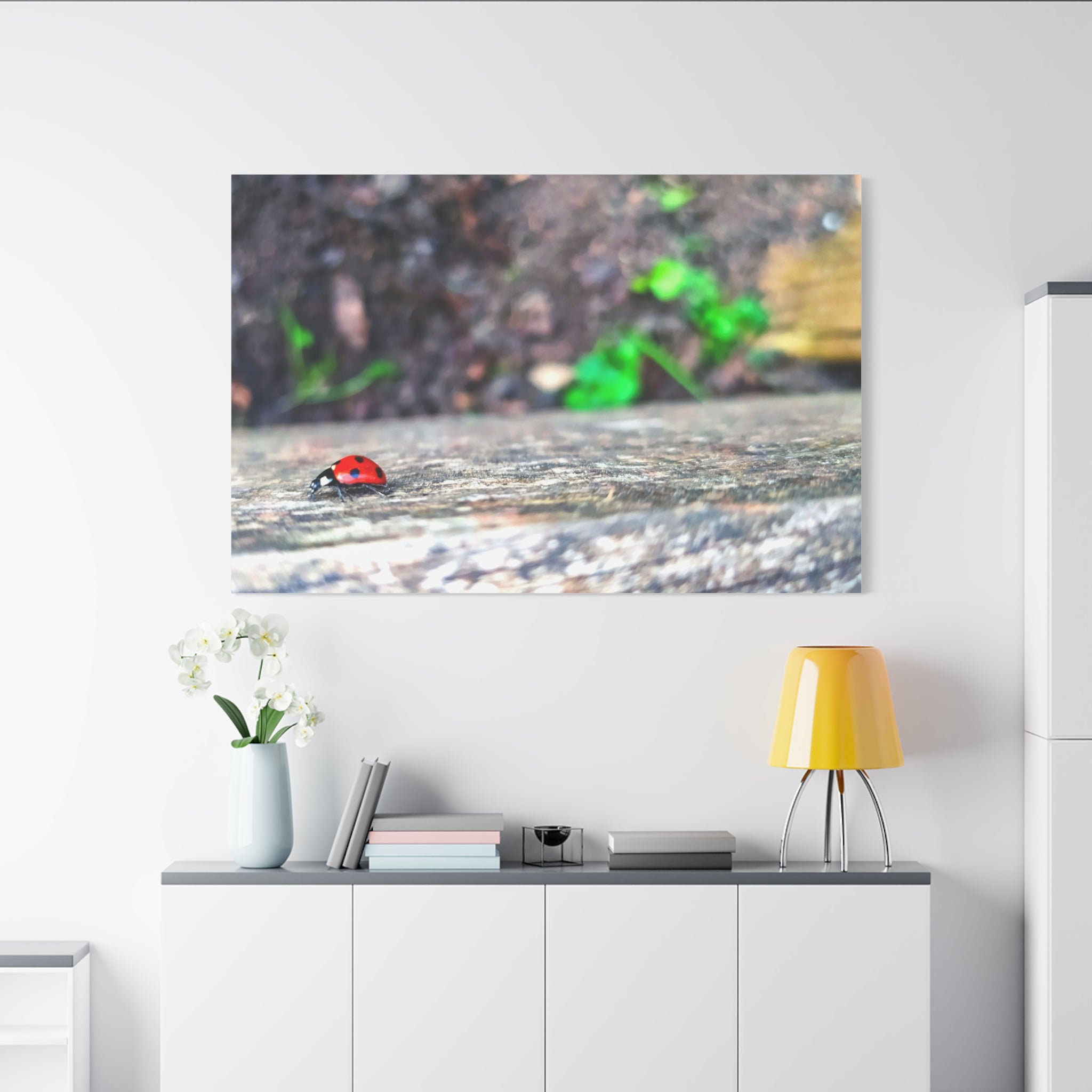 Ladybug on Weathered Wood Canvas Wall Art — Nature Macro Photography Print